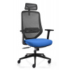 Ergonomická stolička KELLY Farba: Modrá