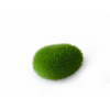 Europet Bernina Aqua Della Moss Ball small 6x4,5x3,5 cm