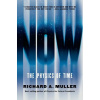Now - The Physics of Time