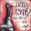Limp Bizkit - Three Dollar Bill Y'all$ [CD]