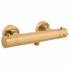 THERMOSTATIC - sprchová batéria, zlatá - kartáčovaná TRM80.5ZK, RAV Slezák TRM80.5ZK