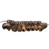 Terre Ankle Shaker Pangi