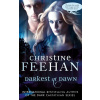 Darkest at Dawn (Dark Secret/ Dark Hunger (novella) - Christine Feehan