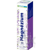 PLUS LEKÁREŇ Magnézium + vitamín B6 tbl eff s príchuťou čiernych ríbezlí 1x20 ks