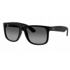 Ray-Ban RB4165 622 T3