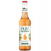 Pure by Monin Broskyňa & Marhuľa 0,7 l