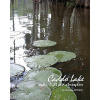 Caddo Lake: water, light and atmosphere