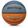 Meteor What's up 6 16798 roz.6
