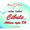 Cibule D3 (Allium Cepa) bylinné kapky (tinktura) 20 ml - doplněk stravy
