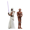 Hasbro Star Wars: Galaxy of Heroes Vintage Kolekce Akční Figurka 2-Pack Jedi Knight Revan & HK-47 10 cm