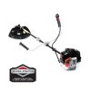 Nax 600B Briggs & Amp; Stratton (Nax 600B Briggs & Amp; Stratton)