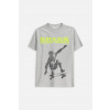Detské tričko Coccodrillo šedá farba, s potlačou, EVERYDAY BOY A ZC5143233VBA 134