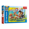 Trefl Puzzle Paw Patrol/Tlapková patrola Ryder a kamaráti 27x20cm 30 dielikov v krabičke 21x14x4cm