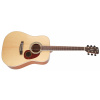 Cort Earth 100 NAT