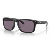 OAKLEY HOLBROOK OO9102 E8
