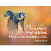 Magnet na lednici Medituj na Štěstí - Sri Chinmoy