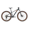 LIV Tempt 29 0 M Asphalt Green