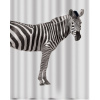 Spirella sprchový záves ZEBRA, bielo-čierny, 180 × 200 cm, polyester