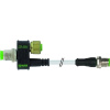 Murrelektronik T-rozdeľovač, 334011, 1 ks; 334011