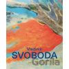 Vladimír Svoboda: Kaleidoskop - Michal Novotný