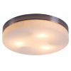 Stropné svietidlo, lampa - Plafon Opal 48403 Globo 24H (Plafon Opal 48403 Globo 24H)