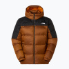 Pánska páperová bunda The North Face Diablo Down 2.0 Hoodie mushroom ember/black heather/recycled