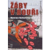 Žáby v bouři - Jan Drnek