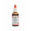 Salvia Paradise Echinacea Třapatka nachová AF tinktura 50 ml