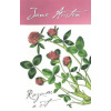 Rozum a cit - Jane Austen