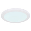 Globo 12379-24W