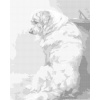 ZUTY Bodkovanie - VEĽKÝ BIELÝ PES Rámovanie: vypnuté plátno na rám, Rozmer: 80x100 cm