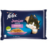 FELIX kapsičky Fantastic Junior kura/losos v želé 4 x 85 g