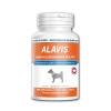 ALAVIS MSM + Glukosamin sulfát 60 tbl.