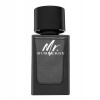 Burberry Mr. Burberry parfumovaná voda pánska 100 ml