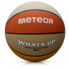 Meteor What's up 7 16801 roz.7