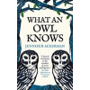What an Owl Know