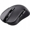 Trust GXT 923 Ybar Wireless Gaming Mouse 24888