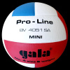 Volejbalová lopta Gala Pro-line 10 panelov 5591 S