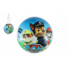 Lopta Tlapková patrola/Paw patrol nafúknutý 23cm v sieťke