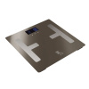 Osobná váha Smart s telesnou analýzou 180 kg Berlingerhaus Metallic Line Carbon BH-9103