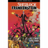 Černá palice 3: Sherlock Frankenstein a Legie zla - Jeff Lemire, David Rubín