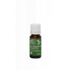 Tierra Verde Silica BIO borovicová živica 10 ml