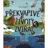Překvapivé životy zvířat - Claybourne Anna