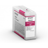 Epson Vivid Magenta T54X300 UltraChrome HDX/HD (C13T54X30N)