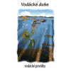 Vodácké duše - vodácké povídky - Kenyho VOLEJ (sdružení vodáckých autorů)