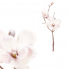 Autronic Magnolie - umělá řezaná, zasněžená, barva růžová KUC2607 PINK