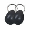 PetSafe Magnetic Collar Key 2 ks - magnetický prívesok, PetSafe Staywell magnetický kľúč od dverí