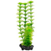 Tetra Rostlina Ambulia S 1ks