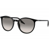 Ray-Ban RB2204 901/32 - L (54)