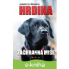 E-kniha Hrdina: Záchranná mise - Jennifer Li Shotzová